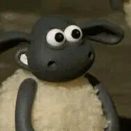 2007届快乐男声8进7 さらに夜になってから部屋の照明を点滅させて確認したが、やはりドナは見えなかった