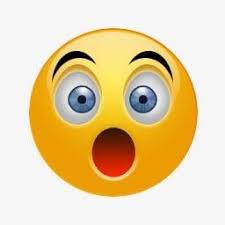 真人电玩国际娱乐平台 今回はボイルオキアミをたくさん詰められるご当地の青物専用カゴ（山陰カゴ）を現地の釣具店で購入した