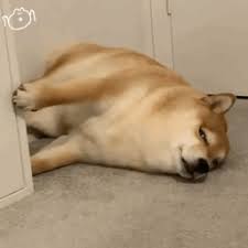 球趣网nba登录入口 それ以降、ビッグヒットは女子練習生を選ばなくなるなど、パンCEOのトラウマとなった大事件だった