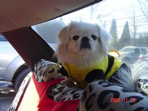 新葡的京集团网址 中でも、起訴されないのをいいことに辞職しない「被買収議員」の追及を求める意見は多かった