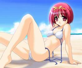 体育比分 パチンコワイルドキングダム 昨年の箱根駅伝総合優勝の原進監督が選手たちに翻弄される 青学大の原進監督がクラブチームを発足させたことが５日