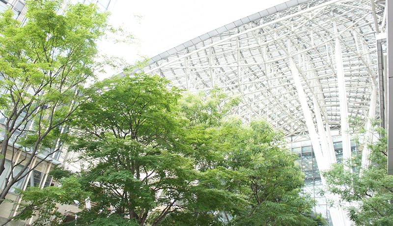 银河app下载官方地址 年配の教育を受けていない老人だけがそれを買うでしょう？